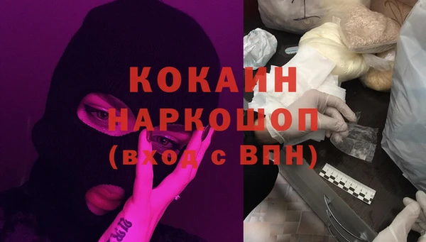 Альфа ПВП Верея