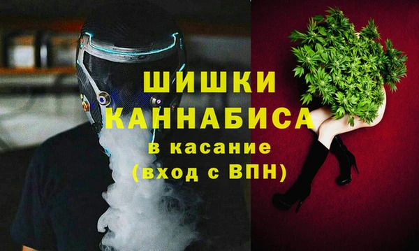 Альфа ПВП Верея