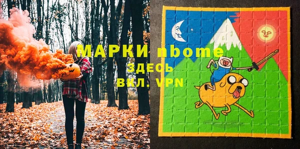 Альфа ПВП Верея