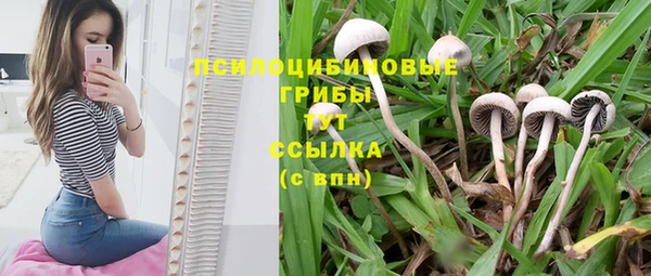 Альфа ПВП Верея