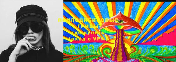 Альфа ПВП Верея