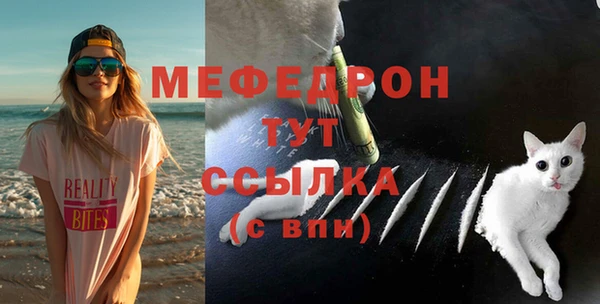Альфа ПВП Верея